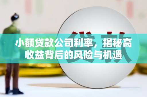 革吉小额贷款公司利率，揭秘高收益背后的风险与机遇