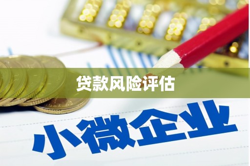 革吉贷款风险评估