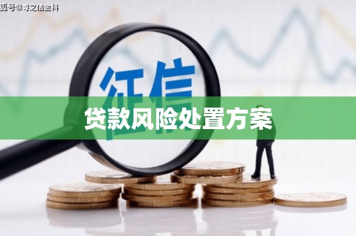 革吉贷款风险处置方案