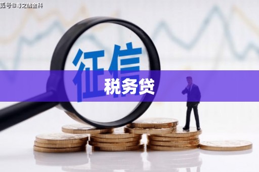 革吉税务贷