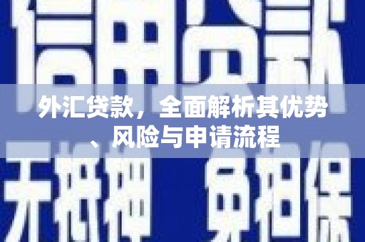 革吉外汇贷款，全面解析其优势、风险与申请流程