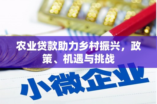 革吉农业贷款助力乡村振兴，政策、机遇与挑战