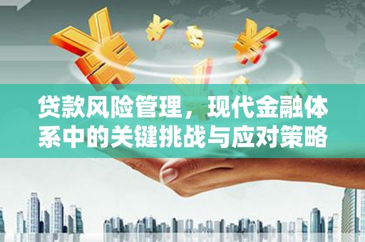 革吉贷款风险管理，现代金融体系中的关键挑战与应对策略