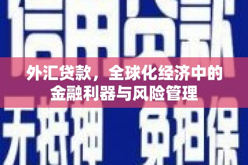 革吉外汇贷款，全球化经济中的金融利器与风险管理