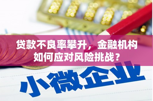 革吉贷款不良率攀升，金融机构如何应对风险挑战？