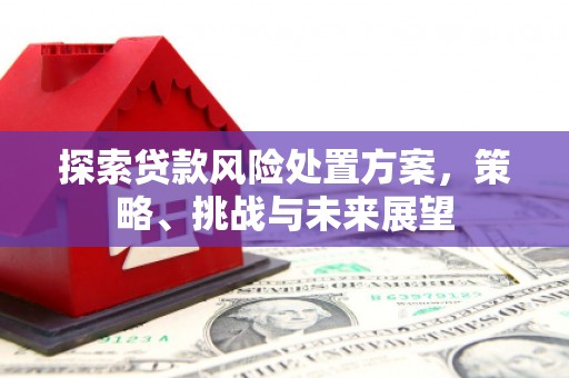 革吉探索贷款风险处置方案，策略、挑战与未来展望