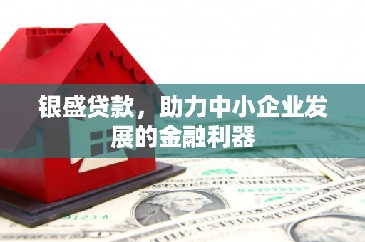 革吉银盛贷款，助力中小企业发展的金融利器