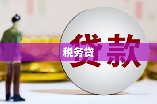 革吉税务贷