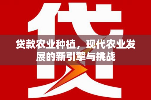 革吉贷款农业种植，现代农业发展的新引擎与挑战