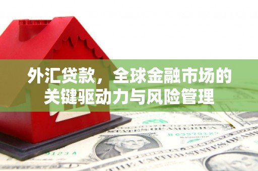 革吉外汇贷款，全球金融市场的关键驱动力与风险管理
