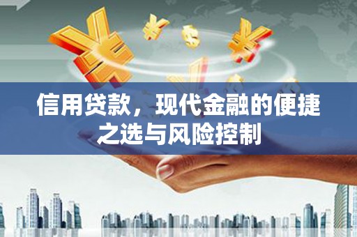 革吉信用贷款，现代金融的便捷之选与风险控制