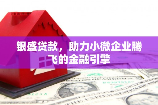 革吉银盛贷款，助力小微企业腾飞的金融引擎