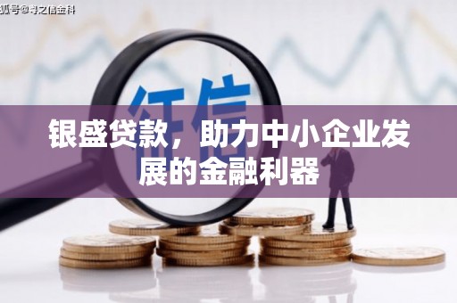 革吉银盛贷款，助力中小企业发展的金融利器