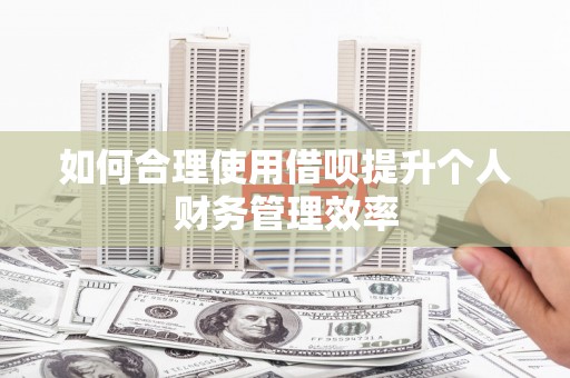 革吉如何合理使用借呗提升个人财务管理效率
