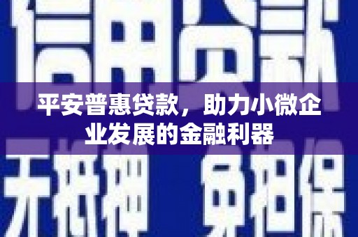 革吉平安普惠贷款，助力小微企业发展的金融利器