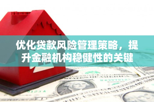 革吉优化贷款风险管理策略，提升金融机构稳健性的关键