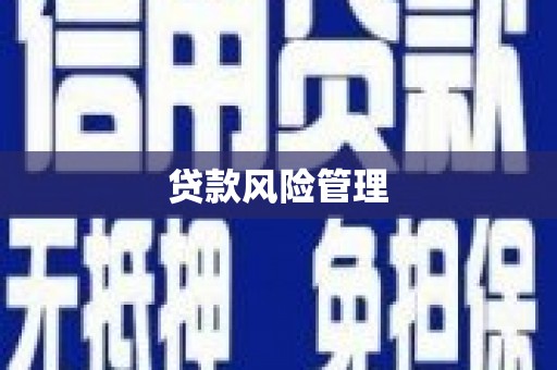 革吉贷款风险管理