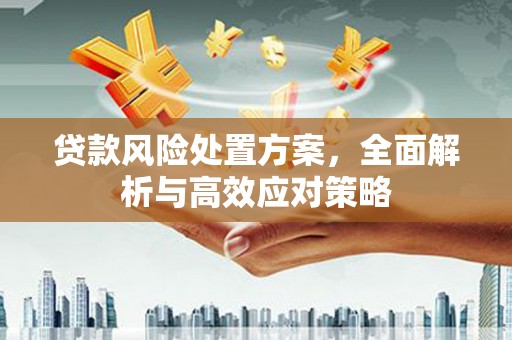 革吉贷款风险处置方案，全面解析与高效应对策略
