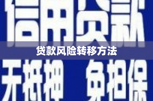 革吉贷款风险转移方法