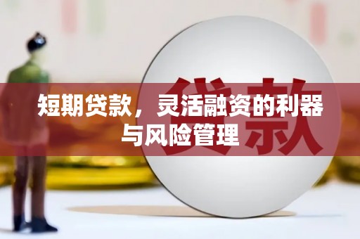 革吉短期贷款，灵活融资的利器与风险管理
