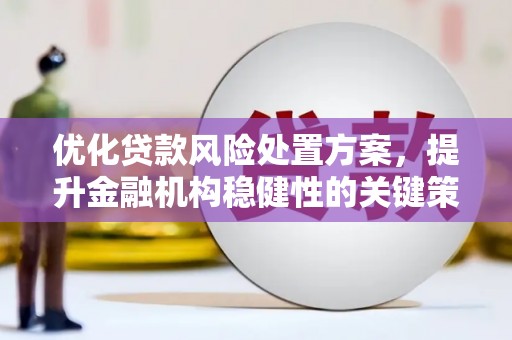 革吉优化贷款风险处置方案，提升金融机构稳健性的关键策略