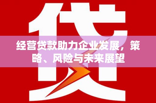 革吉经营贷款助力企业发展，策略、风险与未来展望
