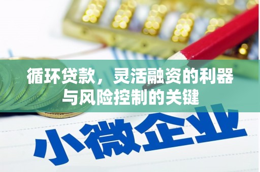 革吉循环贷款，灵活融资的利器与风险控制的关键
