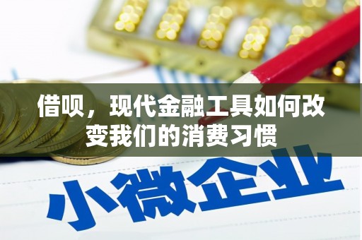 革吉借呗，现代金融工具如何改变我们的消费习惯