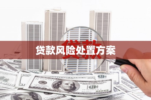 革吉贷款风险处置方案