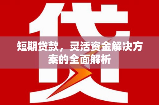 革吉短期贷款，灵活资金解决方案的全面解析