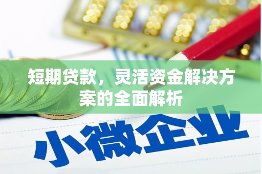 革吉短期贷款，灵活资金解决方案的全面解析