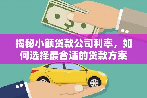 革吉揭秘小额贷款公司利率，如何选择最合适的贷款方案