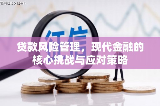 革吉贷款风险管理，现代金融的核心挑战与应对策略
