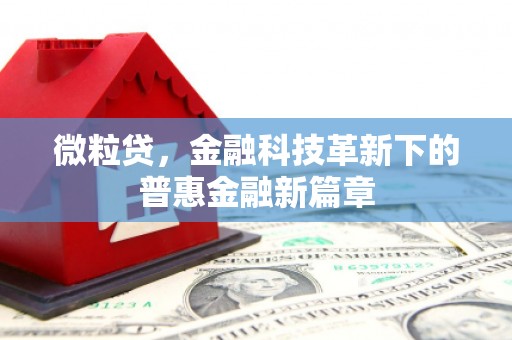 革吉微粒贷，金融科技革新下的普惠金融新篇章