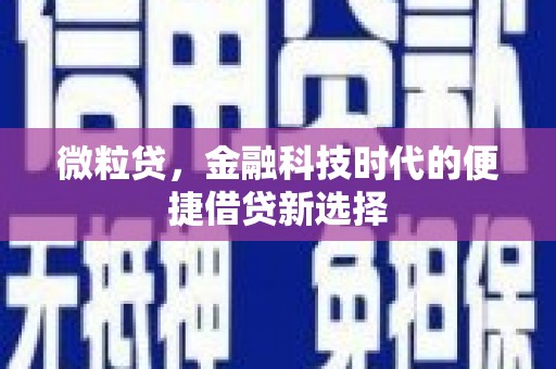 革吉微粒贷，金融科技时代的便捷借贷新选择