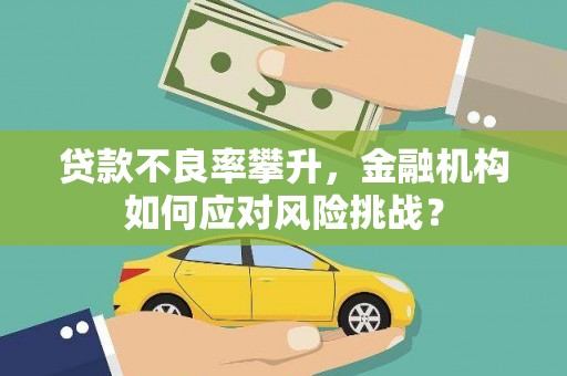 革吉贷款不良率攀升，金融机构如何应对风险挑战？
