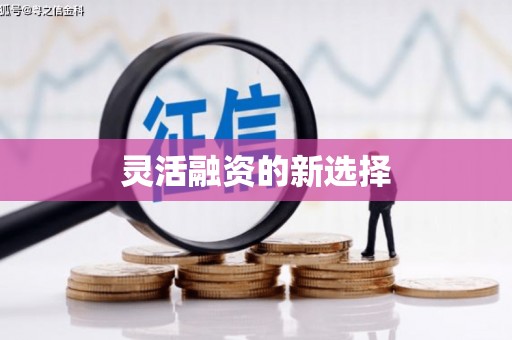 革吉灵活融资的新选择