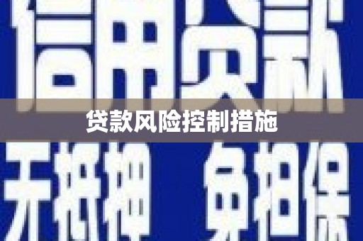 革吉贷款风险控制措施