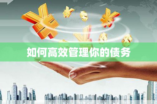 革吉如何高效管理你的债务
