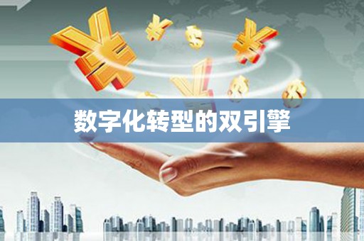 革吉数字化转型的双引擎