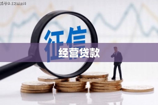 革吉经营贷款
