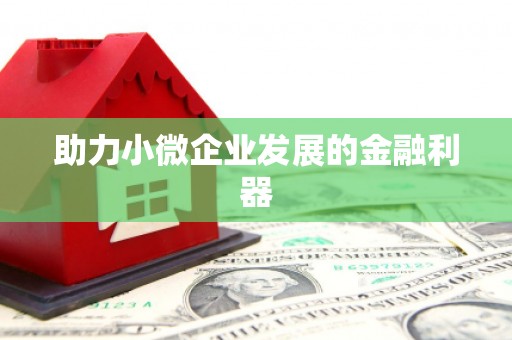 革吉助力小微企业发展的金融利器