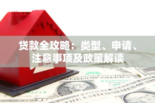 革吉贷款全攻略：类型、申请、注意事项及政策解读