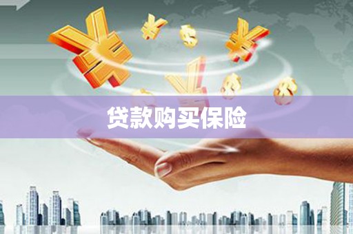 革吉贷款购买保险