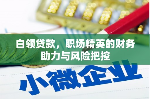 革吉白领贷款，职场精英的财务助力与风险把控